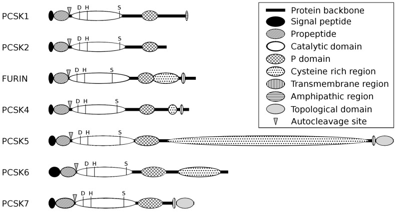 Fig. (1)