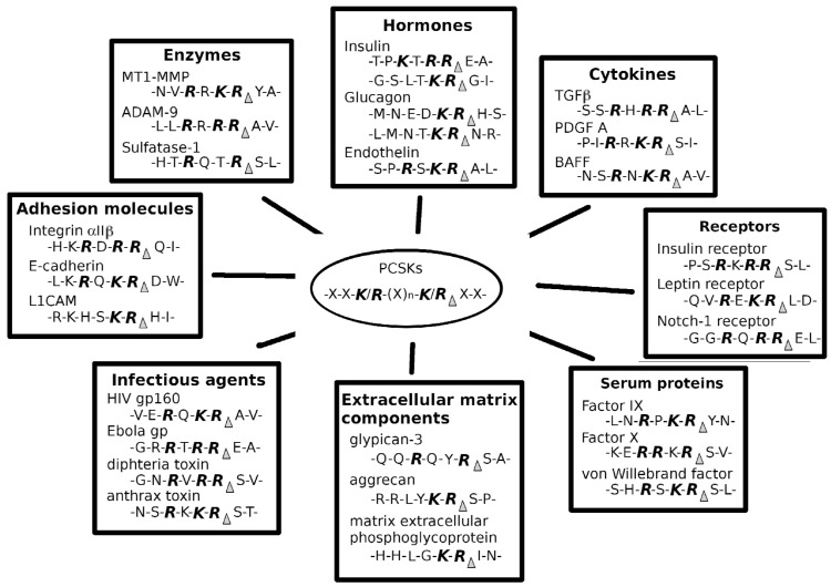 Fig. (2)