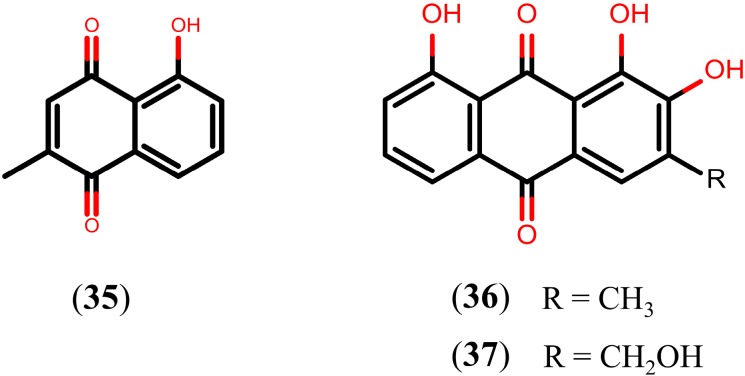 Figure 8