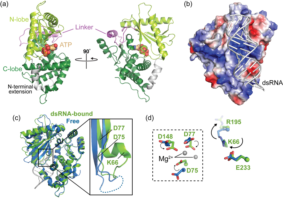 Figure 2.