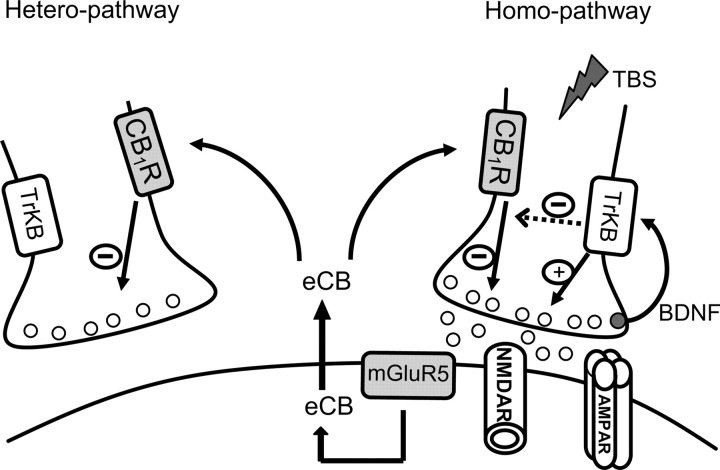 Figure 9.