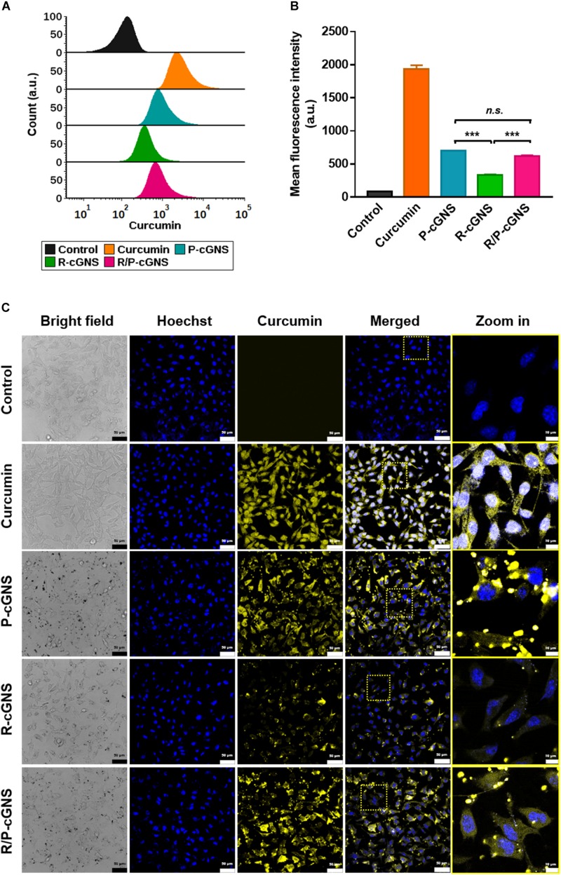 FIGURE 3