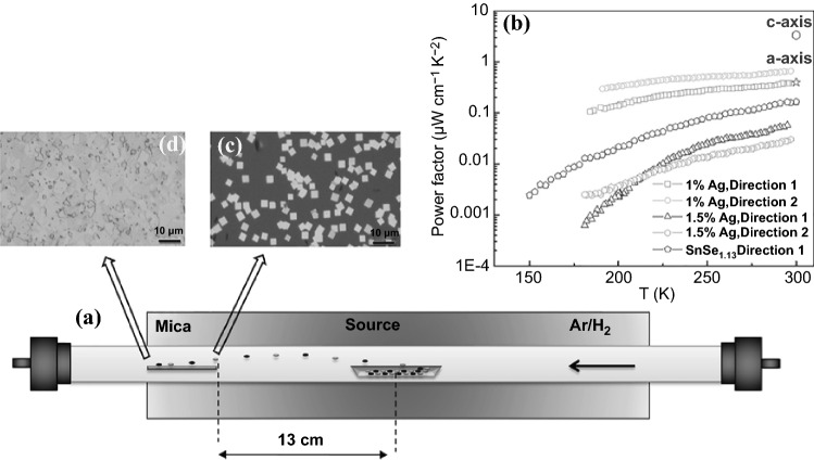 Fig. 12