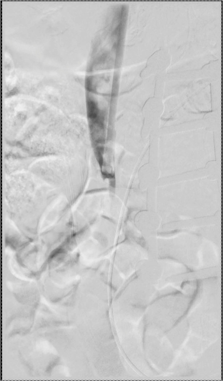 Fig 5