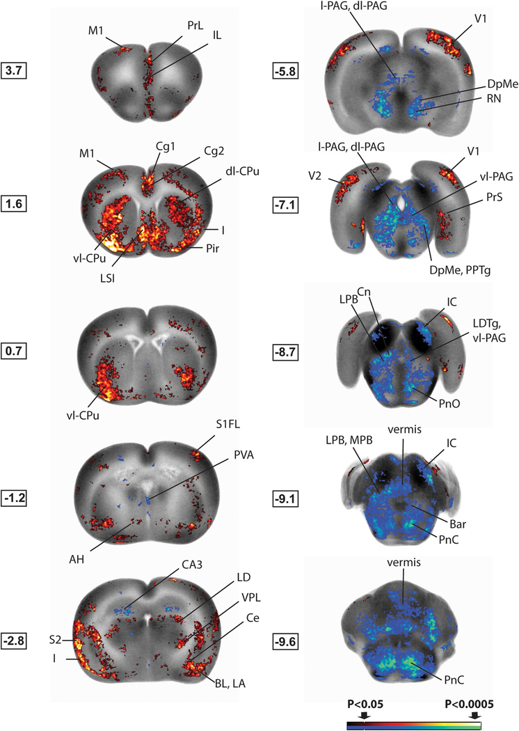 Fig. 4.