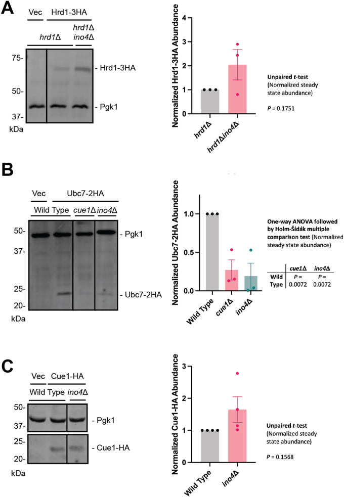 Figure 6