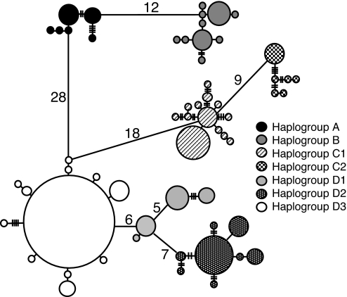 Fig. 1.