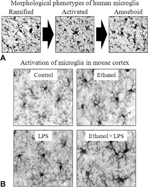 Fig. 27.7