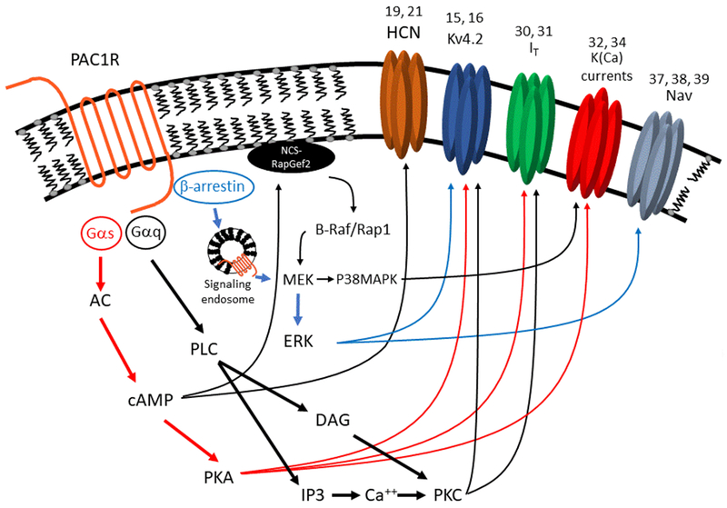 Figure 1: