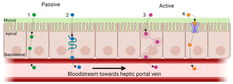 Figure 4