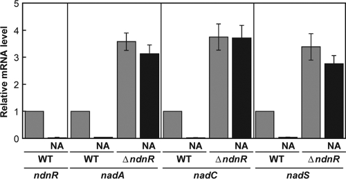 FIG. 6.