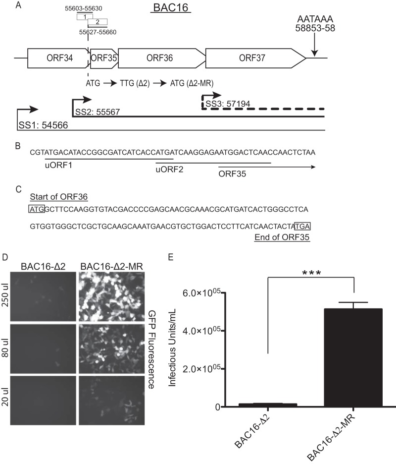 FIG 1