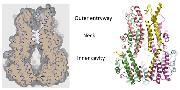 Figure 11