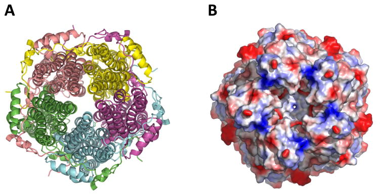 Figure 9