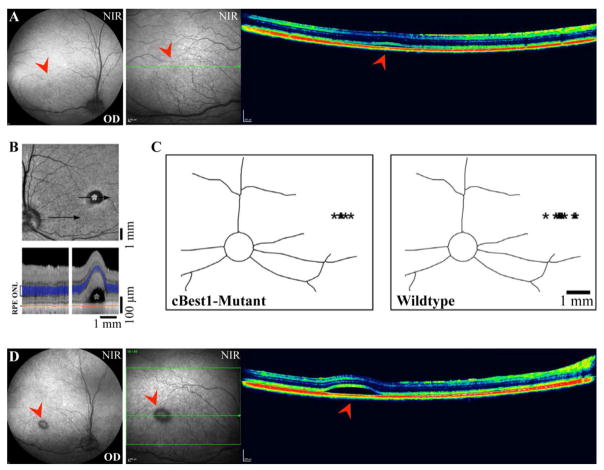 Figure 14