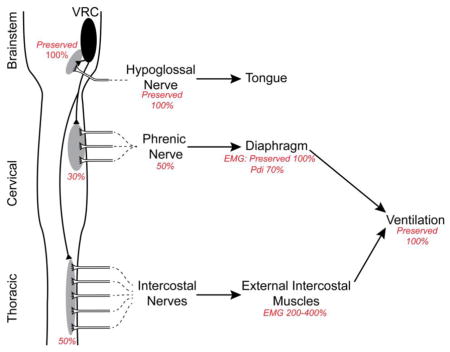 graphic file with name nihms917621u1.jpg