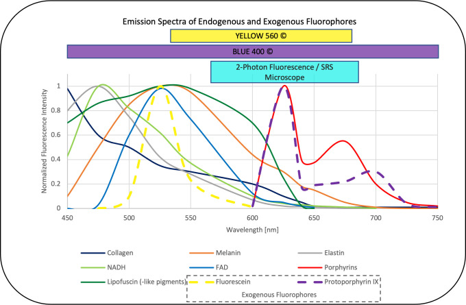 Figure 2