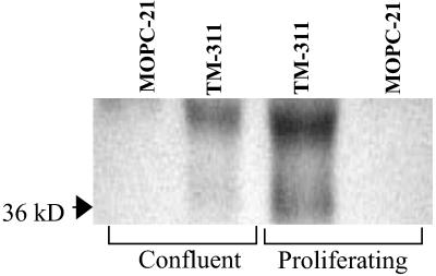 Fig 4.