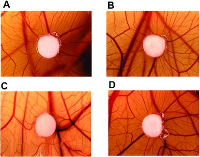 Fig 8.