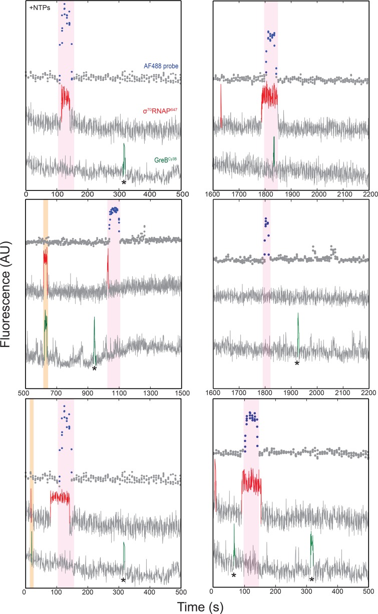 Figure 4—figure supplement 1.