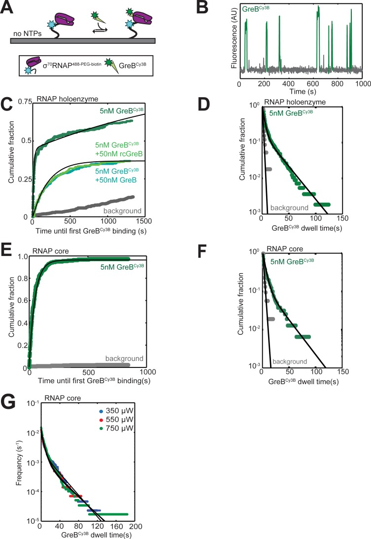 Figure 1—figure supplement 2.