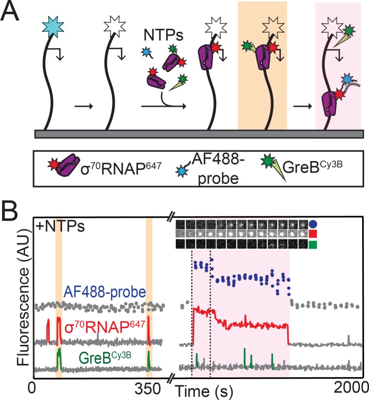 Figure 4.