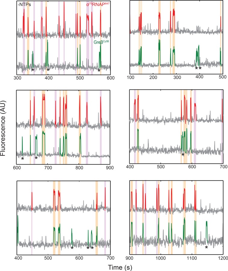 Figure 3—figure supplement 2.