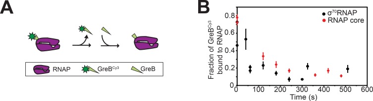 Figure 1—figure supplement 1.