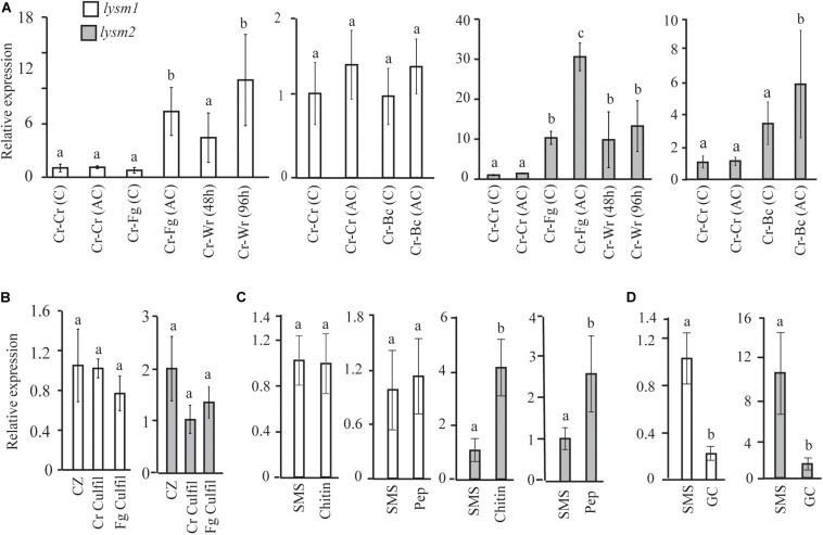 FIGURE 2