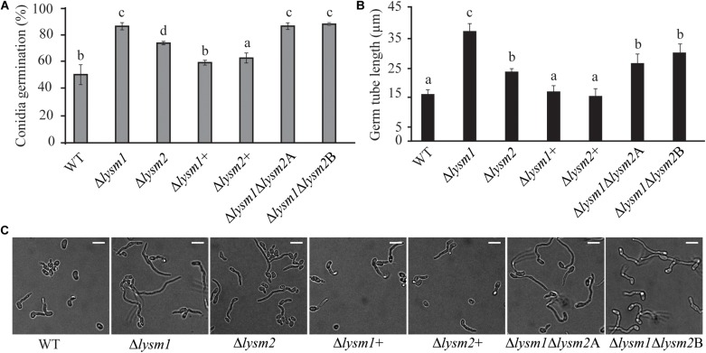 FIGURE 3