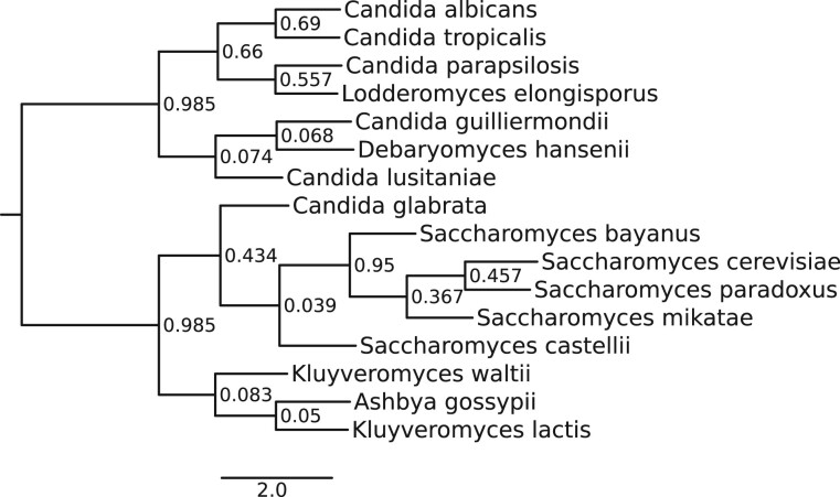 Fig. 6.