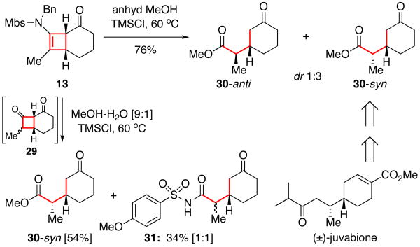 Scheme 3