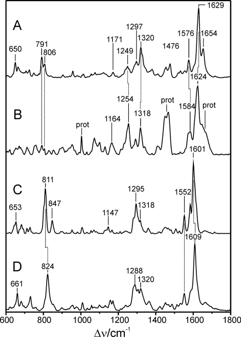 FIGURE 4.