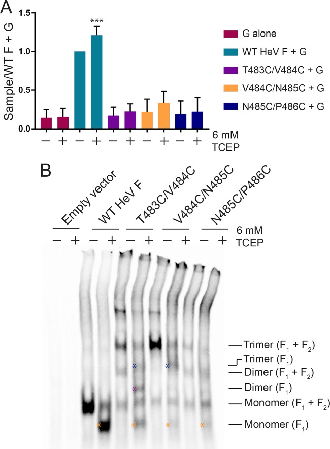 FIG 6