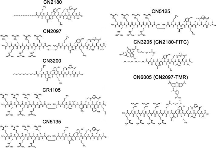 FIGURE 1.