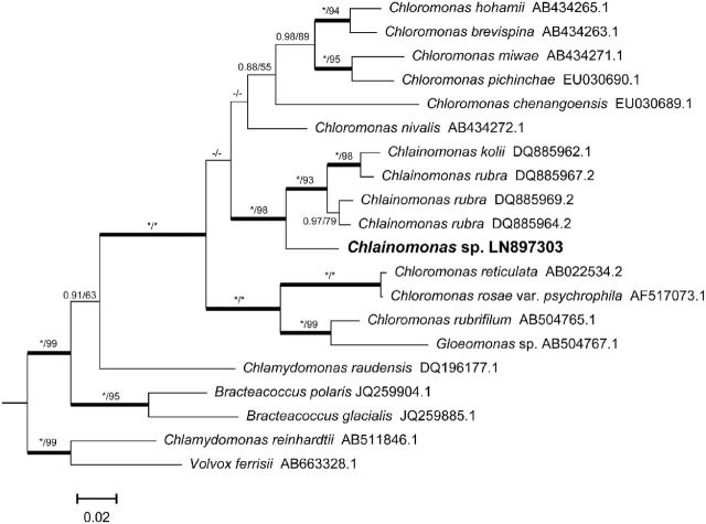 Figure 3.