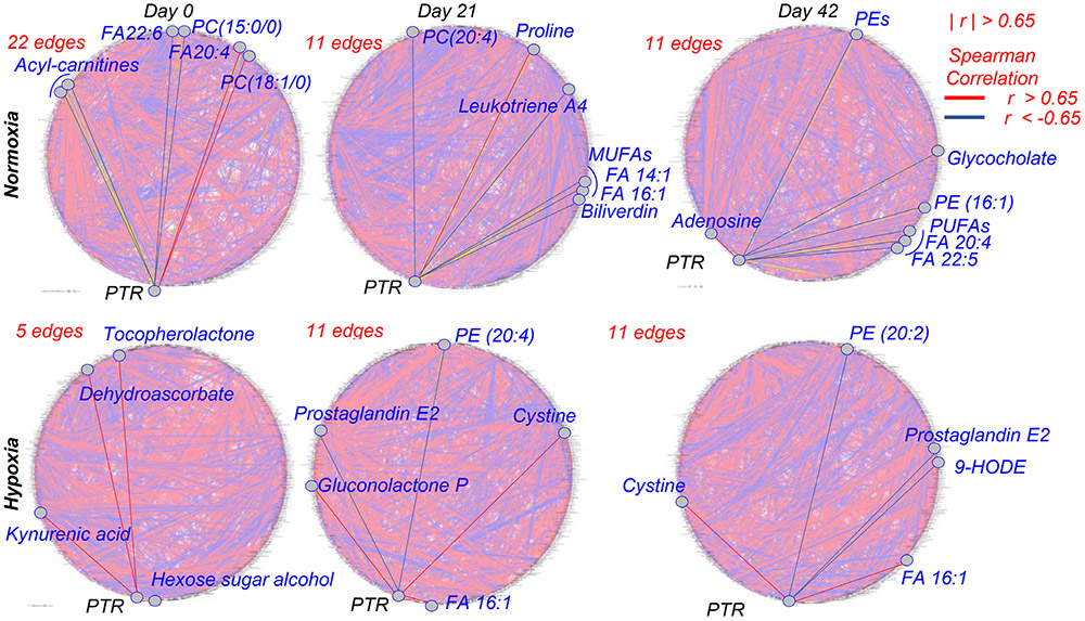 Fig. 3.