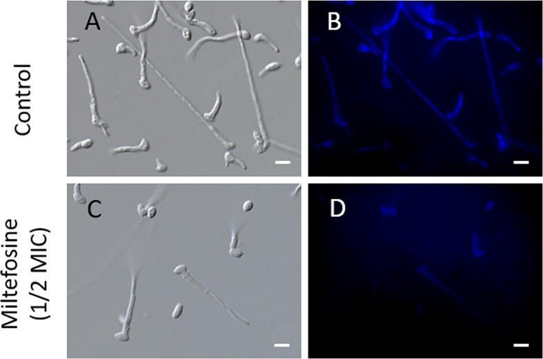 Figure 7