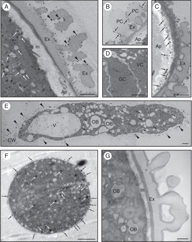 Fig. 8.