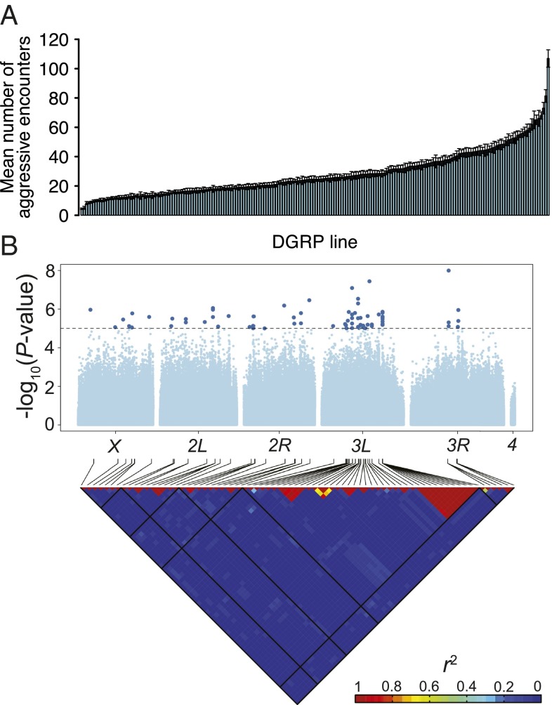 Fig. 1.