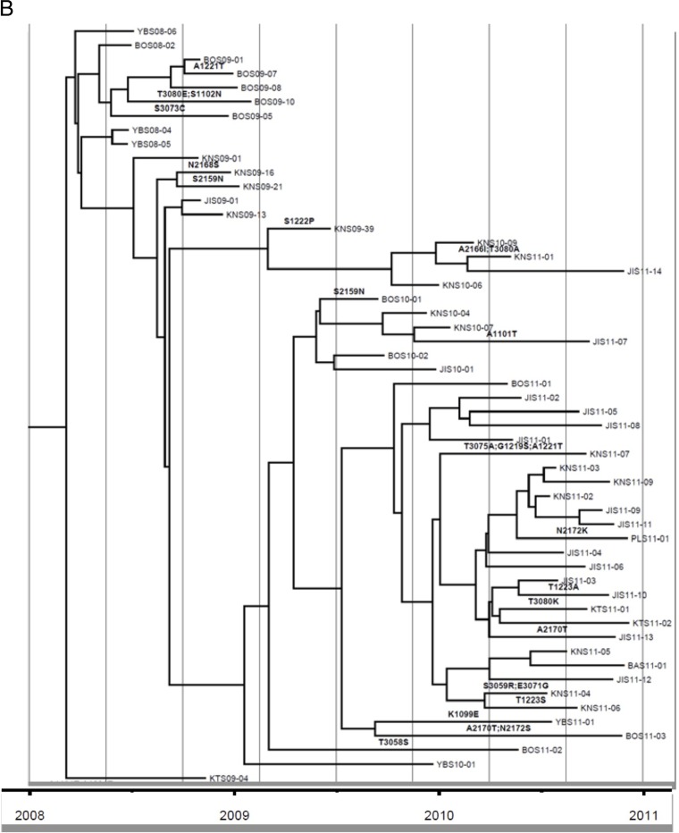 FIG 1