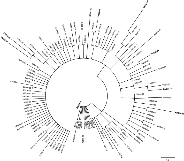 FIG 6