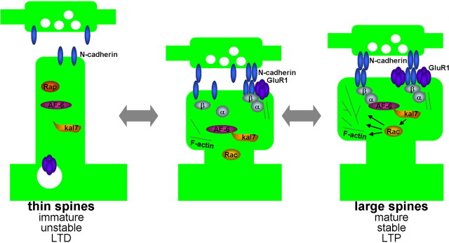 Figure 9.