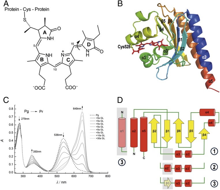 Fig. 1.