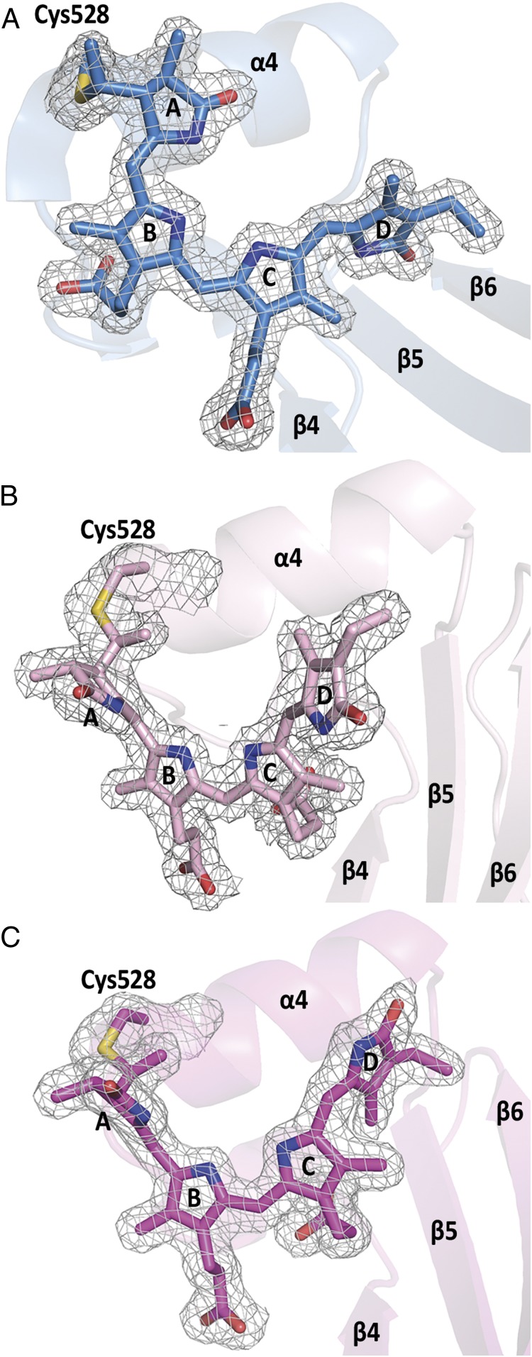 Fig. 3.