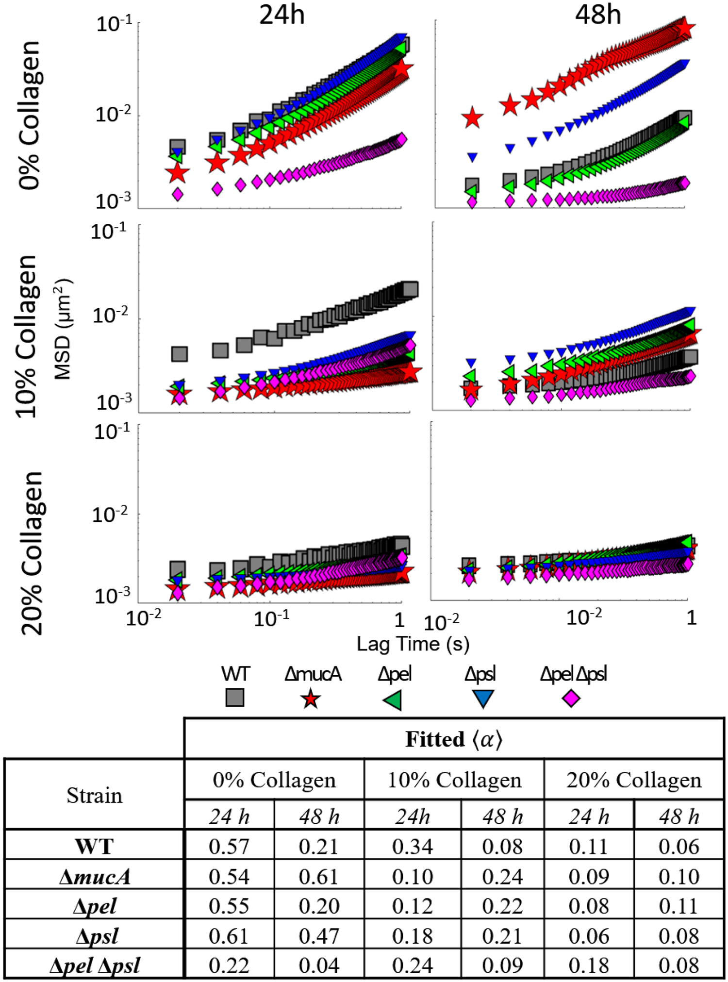 Figure 2: