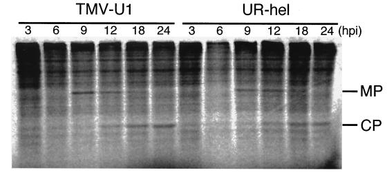 FIG. 5