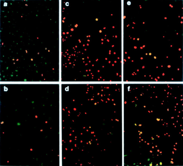 Figure 1  