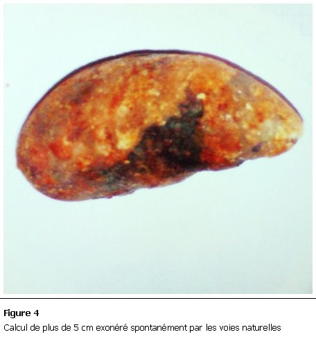 Figure 4: