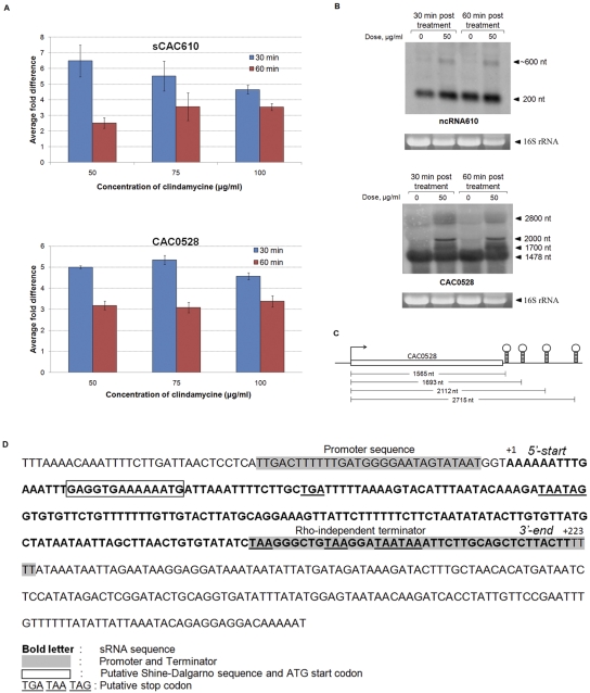 FIG 3 